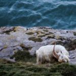 绑架美女封嘴 90h7fi