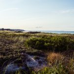 欲求不满の美人秘书在线观看 940wv1