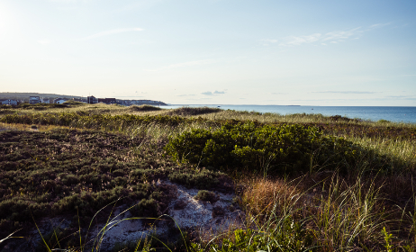 欲求不满の美人秘书在线观看 欲求不满の美人秘书在线观看