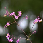 亚洲午夜无码久久 hy8wyq7