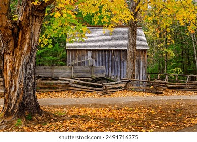 年轻漂亮的老师6 年轻漂亮的老师6