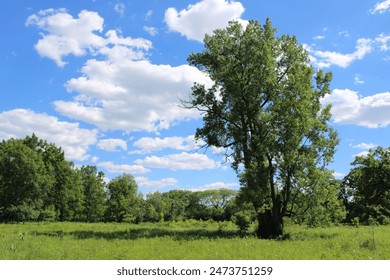 给个网址你懂的 给个网址你懂的